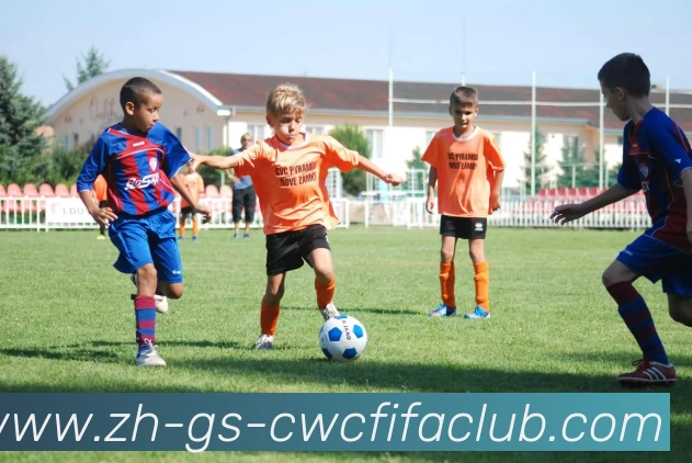 App Interface Preview